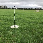 Dairy Management pica and low milk urea nitrogen