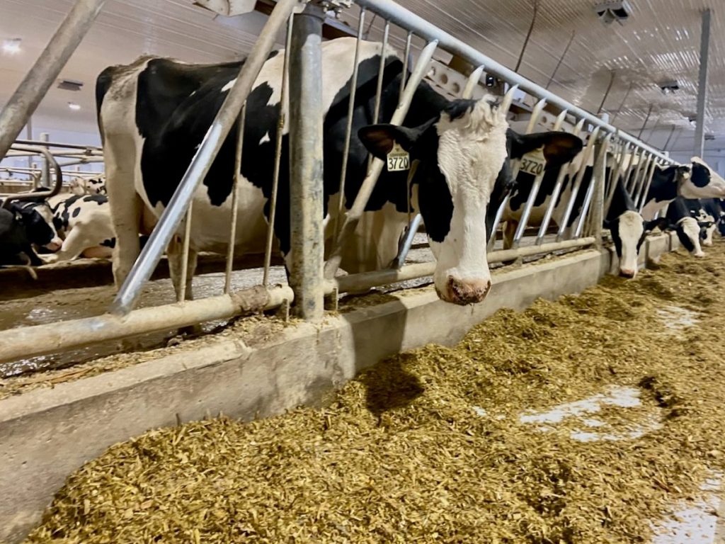 Dairy defends against provincial trade barrier criticism