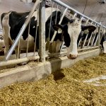 Dairy defends against provincial trade barrier criticism