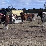 Drought package pathetic