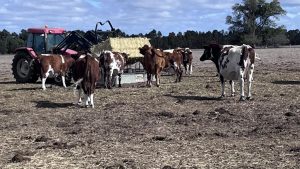 Drought package pathetic