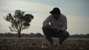 Farmers call for policy reform across multiple sectors as productivity collapses