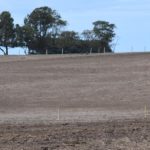 Farmers’ plight worsens as drought grips south-west