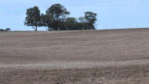 Farmers’ plight worsens as drought grips south-west