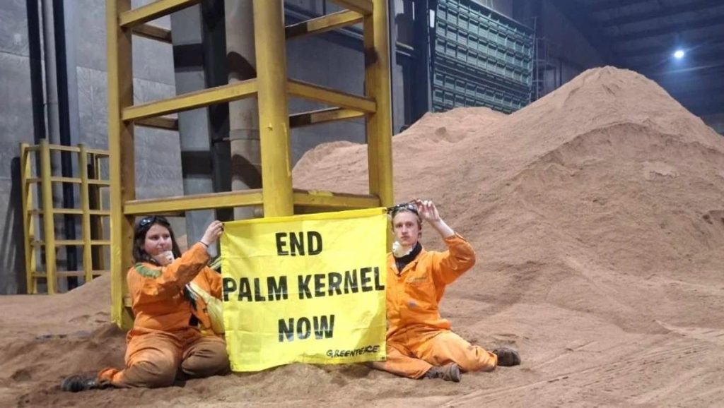 Fed Farmers won’t be able to strip our charitable status, says Greenpeace