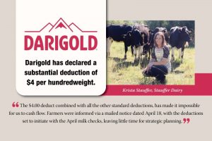 Financial Squeeze How Darigold’s Decision Will Impact Milk Prices