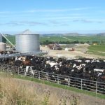 First farm buyers stake their claim in rural market