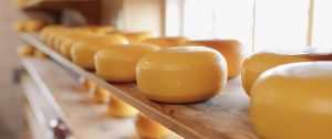 Lactalis acquires Queijos Tavares to expand cheese production in Portugal