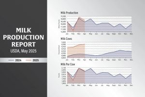 Milk Output Climbs in April on Bigger Herds, Better Yields