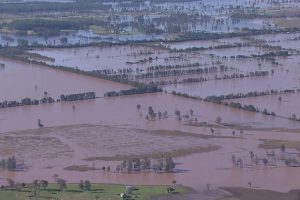 Milk prices to rise after floods and drought hit dairy land