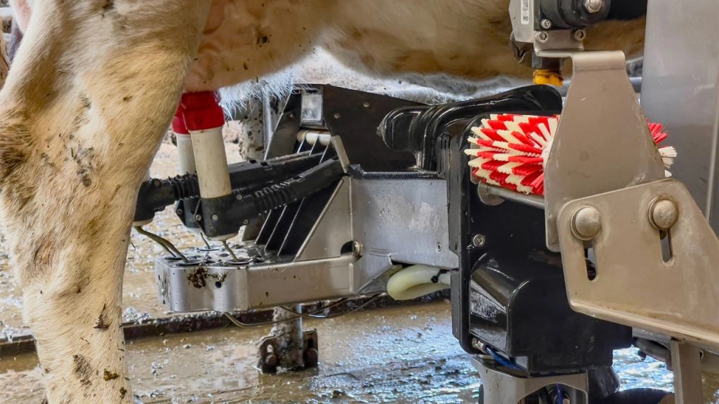 Missouri dairy farmers embrace robotic milkers