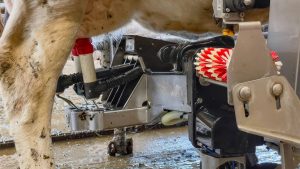 Missouri dairy farmers embrace robotic milkers
