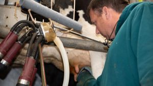 Missouri family dairy triples milking speed on the farm
