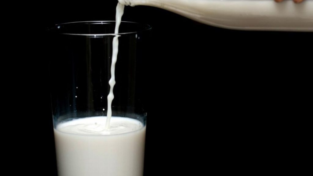 North Queensland dairy farmers finally on the improve