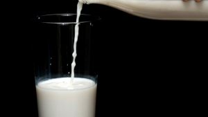 North Queensland dairy farmers finally on the improve