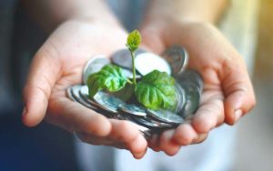 Rabobank closes on top spot in agri lending