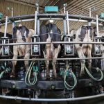 Sen. Mike Lee proposes new protections for farmers