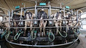 Sen. Mike Lee proposes new protections for farmers