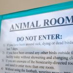 Staff exodus at U.S. farm agency leaves fewer experts to battle bird flu