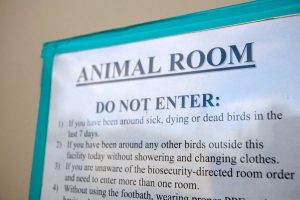 Staff exodus at U.S. farm agency leaves fewer experts to battle bird flu