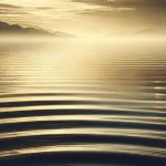 dairy markets: Still Waters, Shifting Currents
