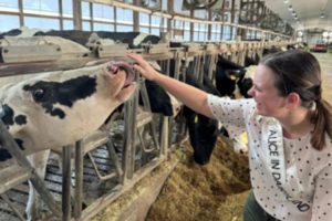 Thinking about dairy sustainability