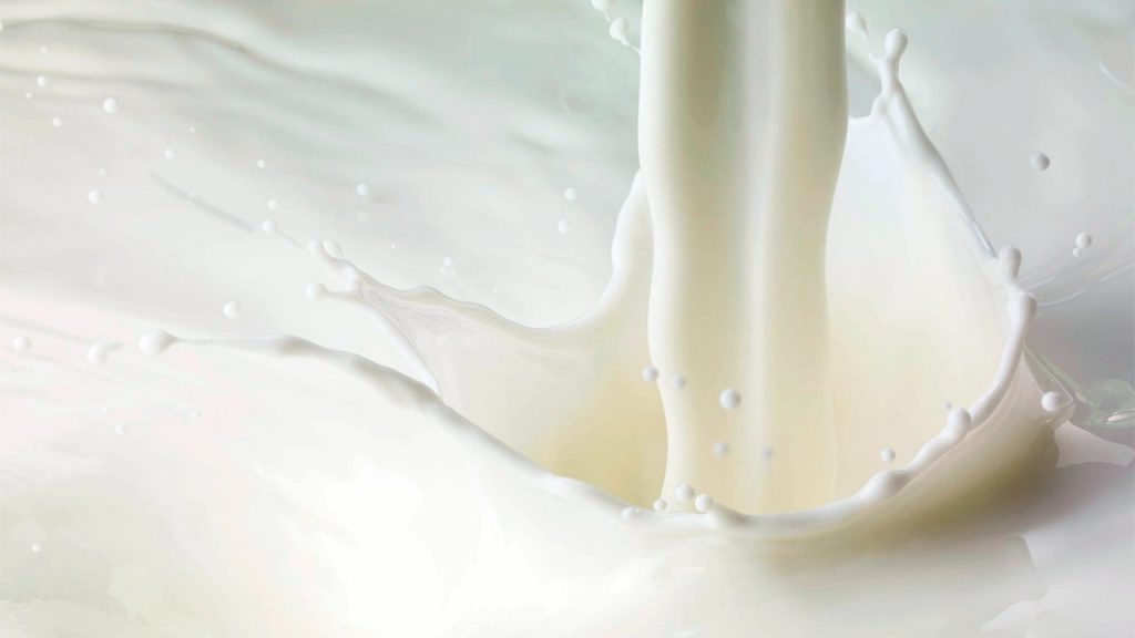 U.S. and Indonesia step up dairy trade collaboration