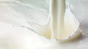U.S. and Indonesia step up dairy trade collaboration