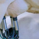 U.S. and Mexico renew partnership at Dairy Summit