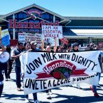 Vermont dairy workers hold day-long protest at Hannaford's
