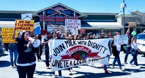 Vermont dairy workers hold day-long protest at Hannaford's