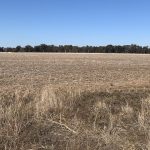 Vic farmers sending dairy cows to abattoirs and beef cattle interstate for feed amid worsening drought
