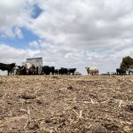 Victorian farmers under pressure as severe drought hits region