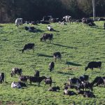 Virtual fencing around the corner for Victorian farmers
