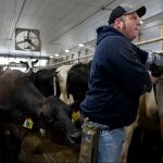 Why farmers are turning away from organic certification