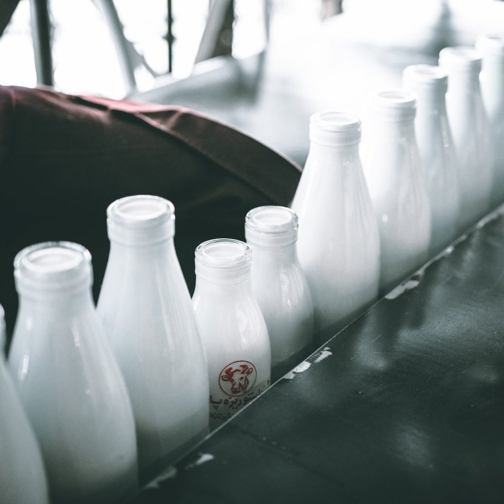 ‘Herds and Her’ on women and dairy farming