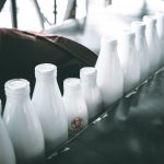‘Herds and Her’ on women and dairy farming