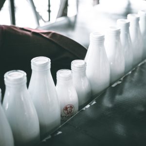 ‘Herds and Her’ on women and dairy farming