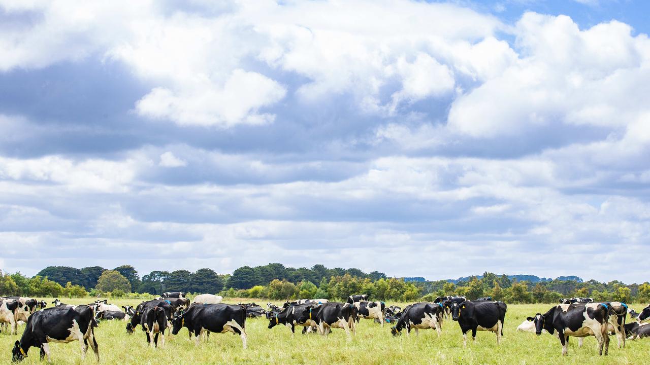 Analysis of Australian dairy farmgate prices How a Perth petrol strategy played a role