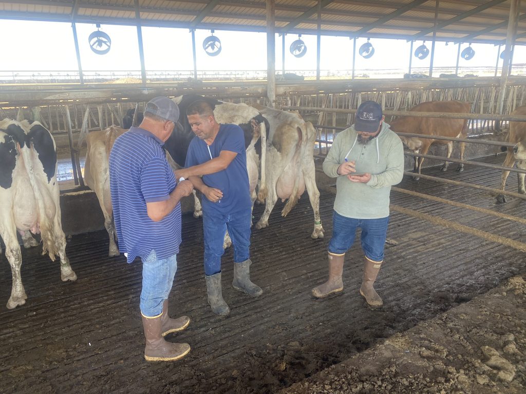 Arizona Dairy Farmer Exposes Ag Labor Crisis