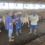 Arizona Dairy Farmer Exposes Ag Labor Crisis