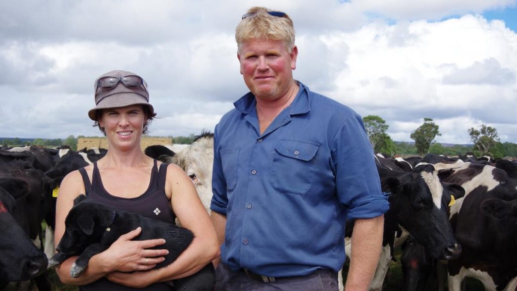Aussie Dairy Farmers Master Drought Strategic Wins