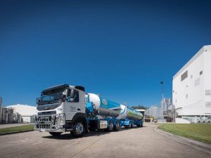Aussie farmers get A$8.60 kgMS as opening milk price