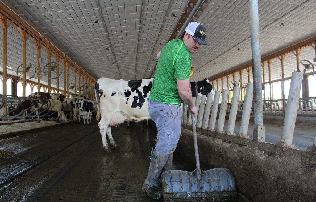 Ban On Big Dairy Farms Would Be Bad Policy