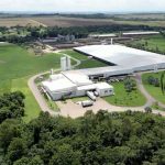 Big dairy herds get bigger in Brazil