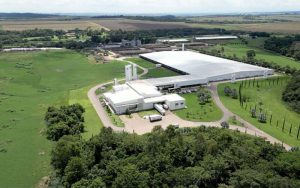 Big dairy herds get bigger in Brazil