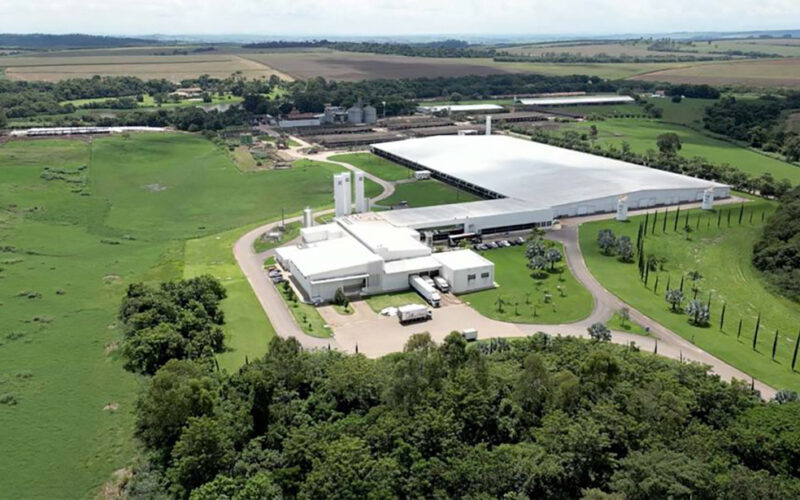 Big dairy herds get bigger in Brazil