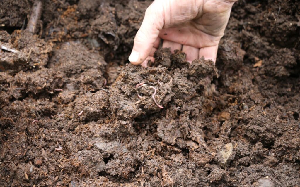 Bokashi Bug Bites Farmers Waste to Gold on the Farm