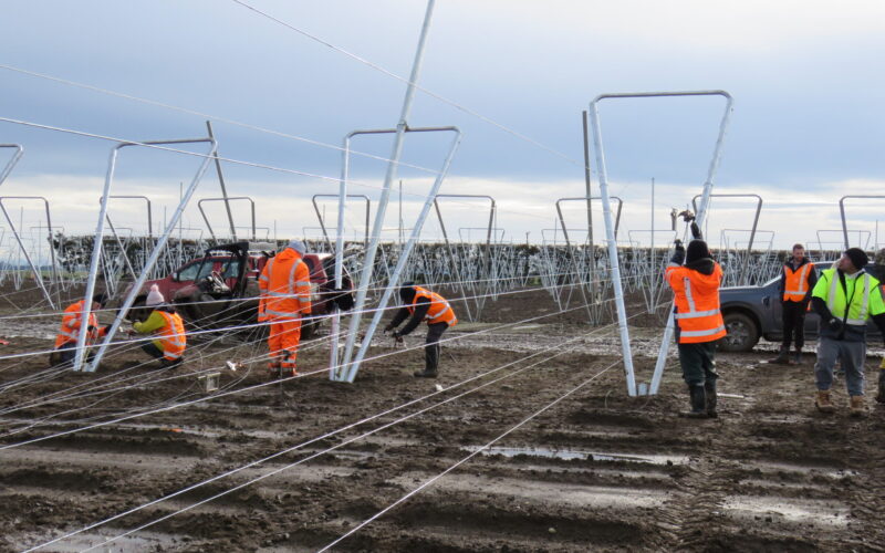 Canterbury dairy farm moving into apples at scale