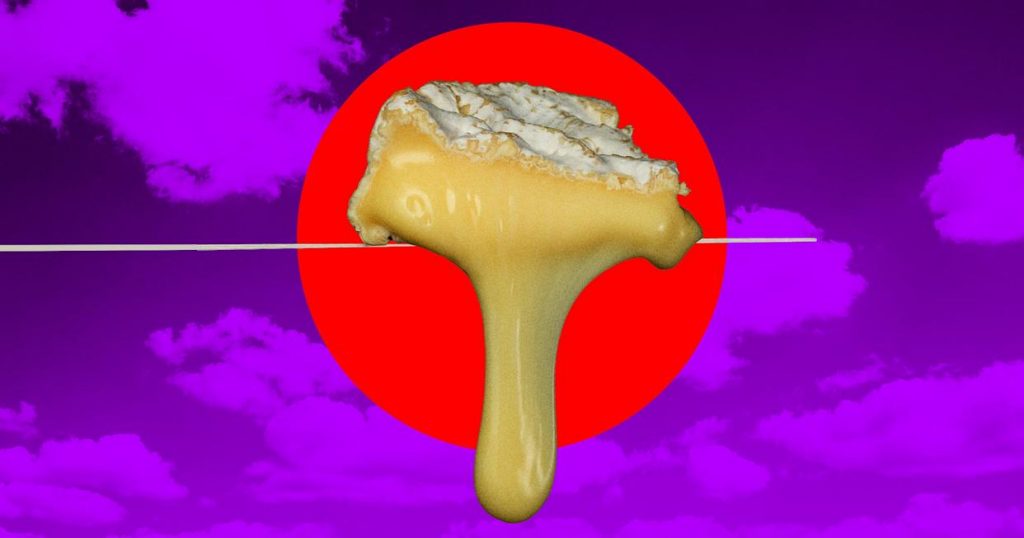 Climate Change Is Ruining Cheese, Scientists and Farmers Warn